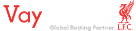 Vaycasino logosu